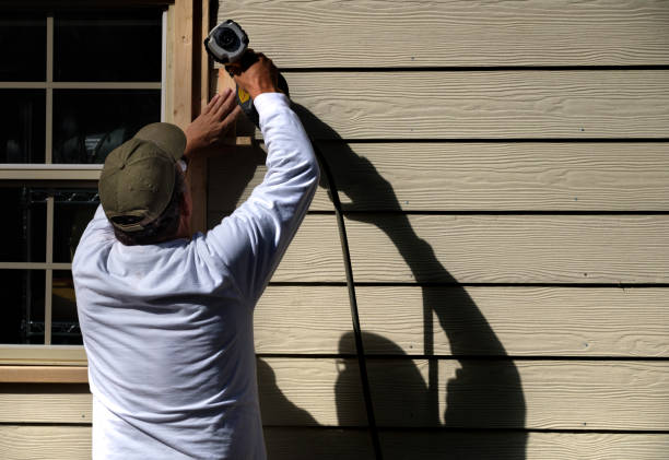 Best Custom Siding Design  in Beaver Dam, KY