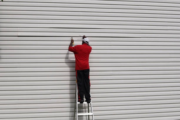 Affordable Siding Repair and Maintenance Services in Beaver Dam, KY