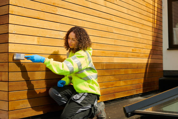 Best Storm Damage Siding Repair  in Beaver Dam, KY